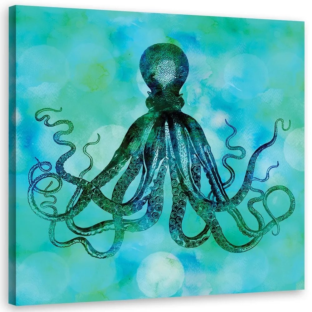 Gario Obraz na plátne Zelená a modrá chobotnica - Andrea Haase Rozmery: 30 x 30 cm