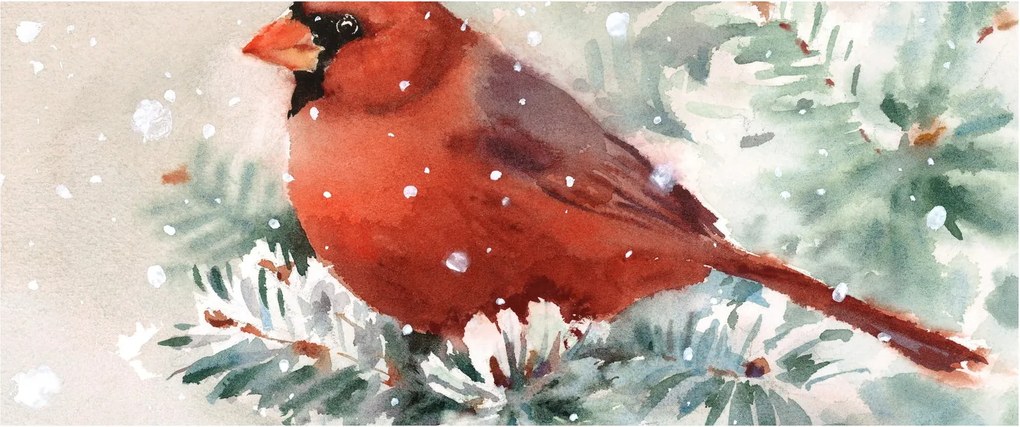 Obraz - Kardinál (120x50 cm)