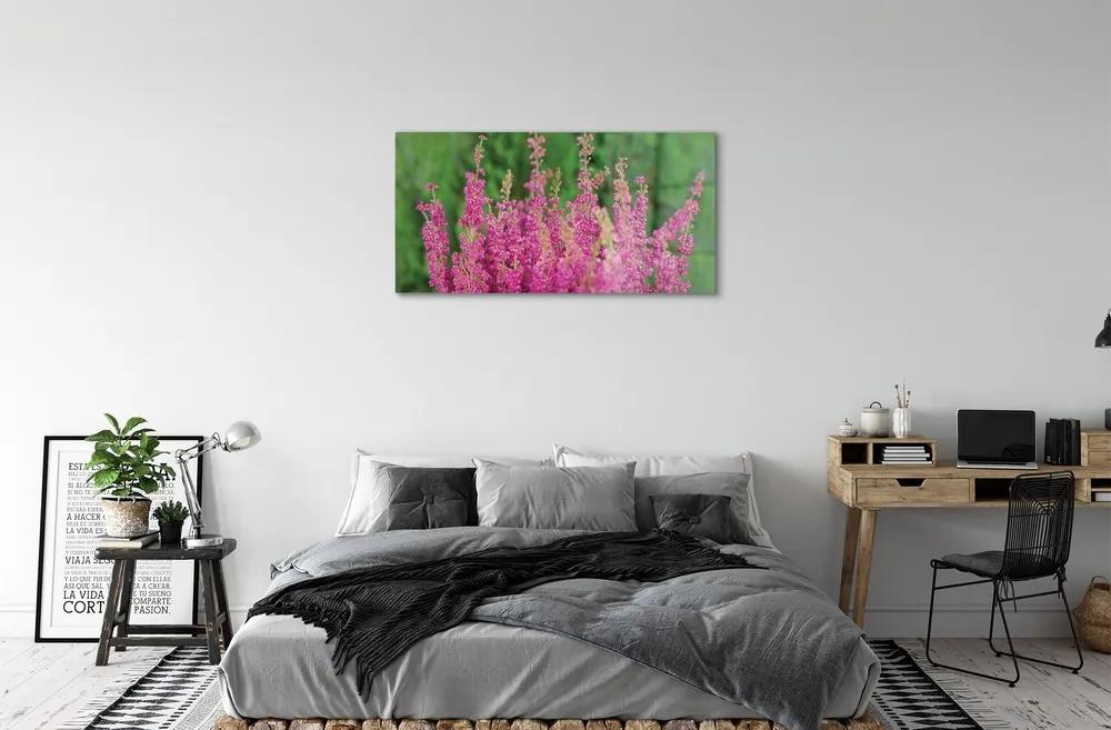 Sklenený obraz kvety vresy 140x70 cm