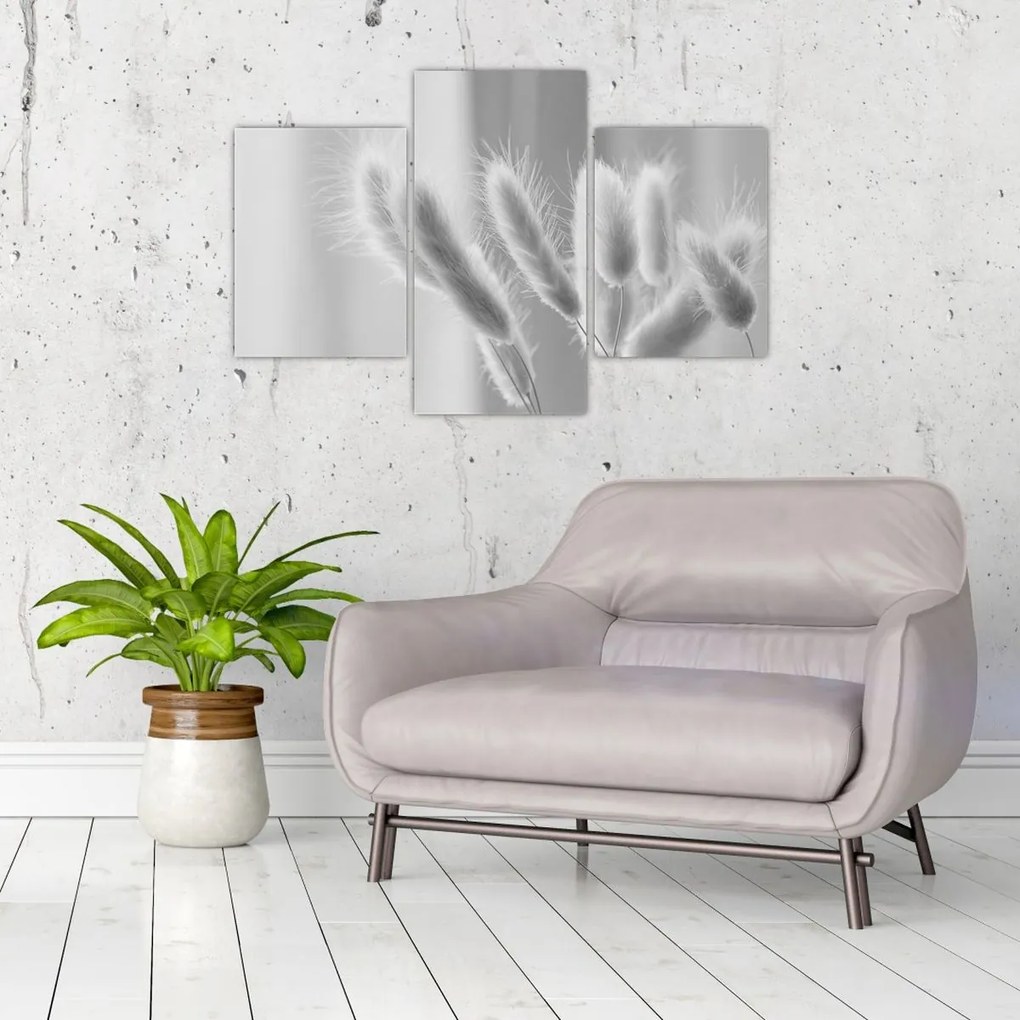 Obraz - Bunny tail grass (90x60 cm)