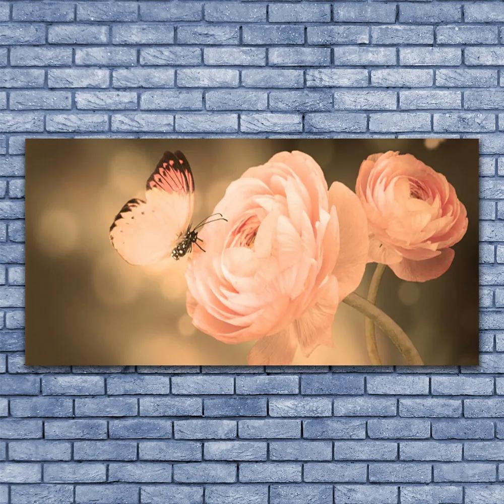 Obraz plexi Motýľ ruže príroda 120x60 cm