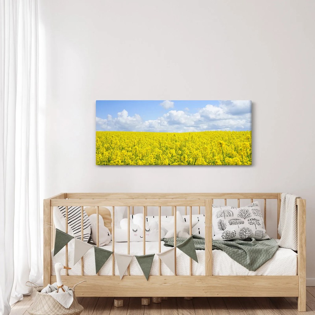 Obraz žltého poľa (120x50 cm)