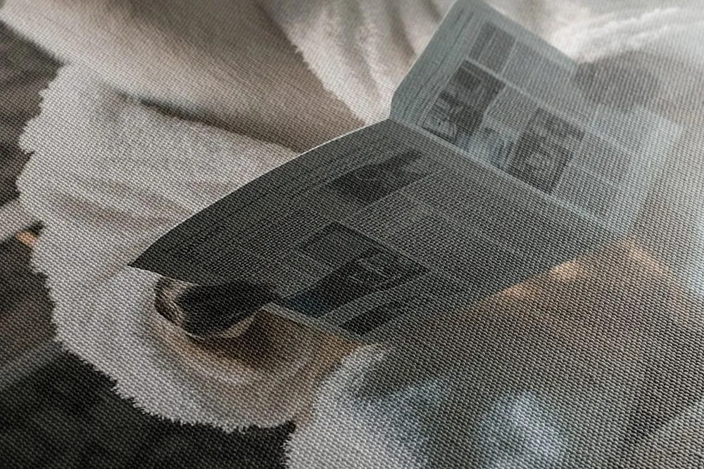 Obraz alpaka s novinami na záchode