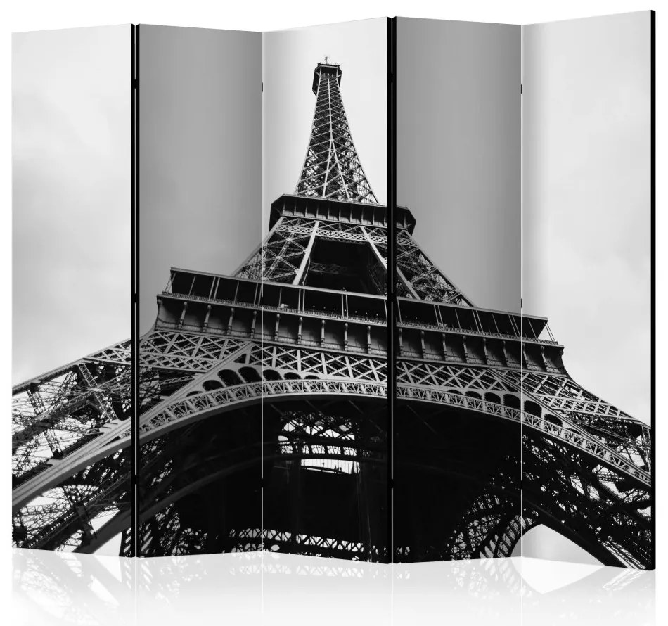 Artgeist Paraván - Paris Giant II [Room Dividers]