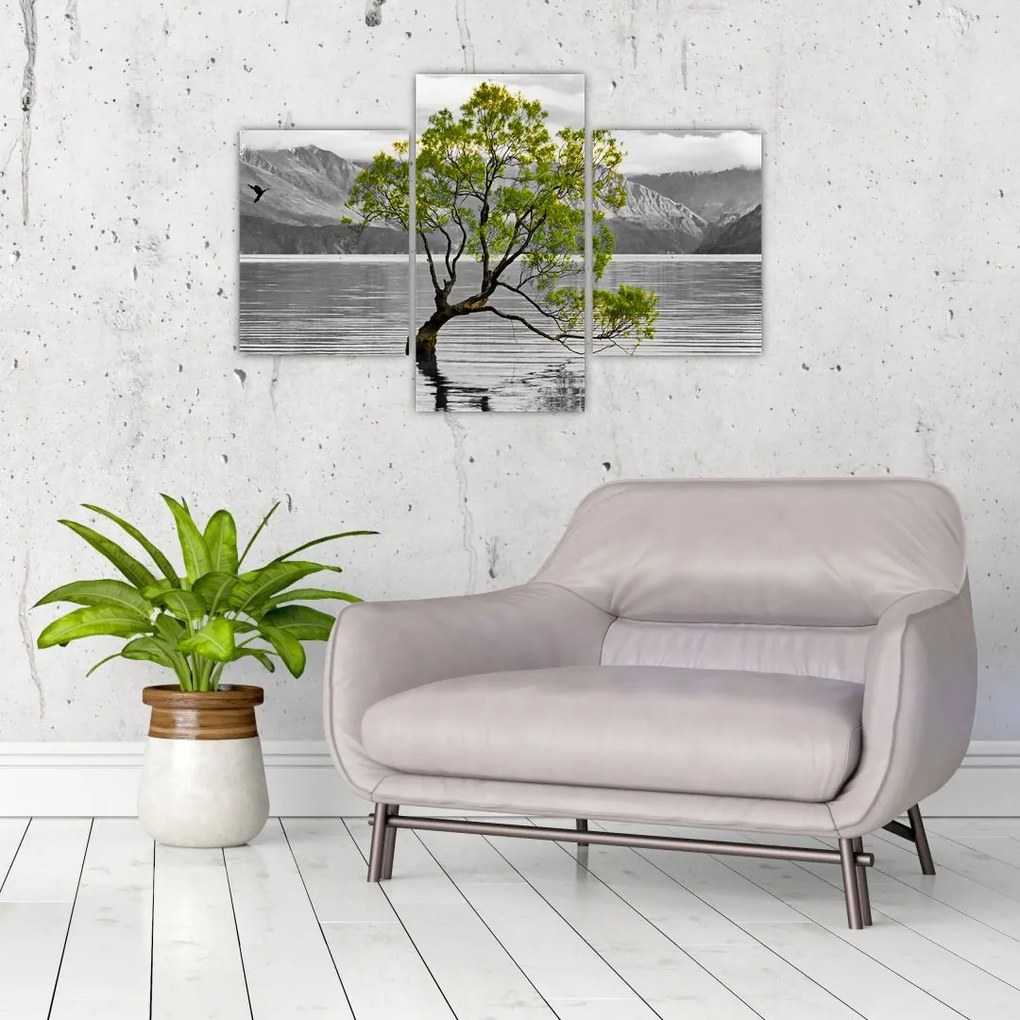 Obraz stromu uprostred jazera (90x60 cm)