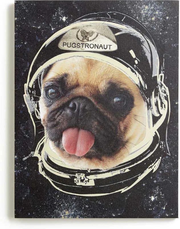 Arthouse Obraz na plátne - Space Pug