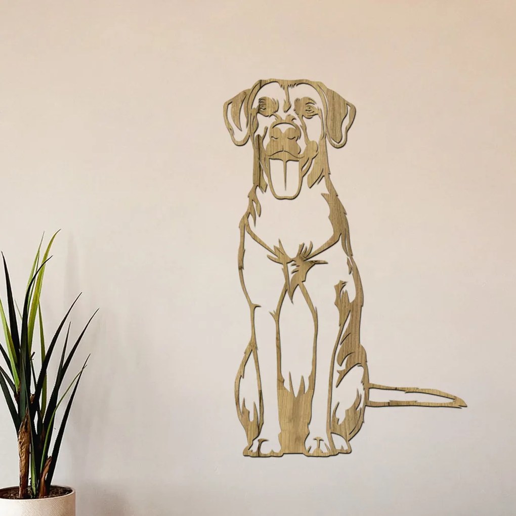 dřevo života Drevená dekorácia psa Ridgeback Rozmery - cm: 38x60, Zvoľte farbu dekoru: Horský dub