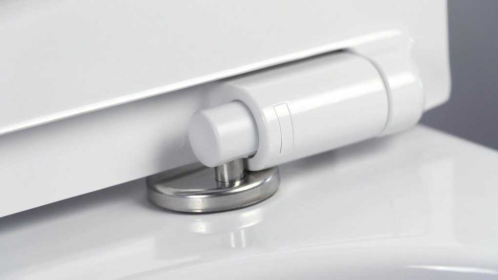 Deante Závesný WC komplet bez príruby Peonia - CDED6ZPW, vrátane SoftClose sedadla