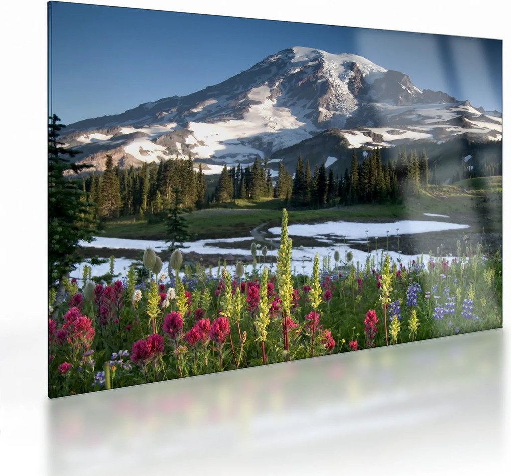 Sklenený obraz - Mount Rainier (70x50 cm)