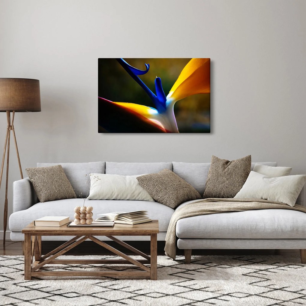 Obraz - Exotický kvet (90x60 cm)