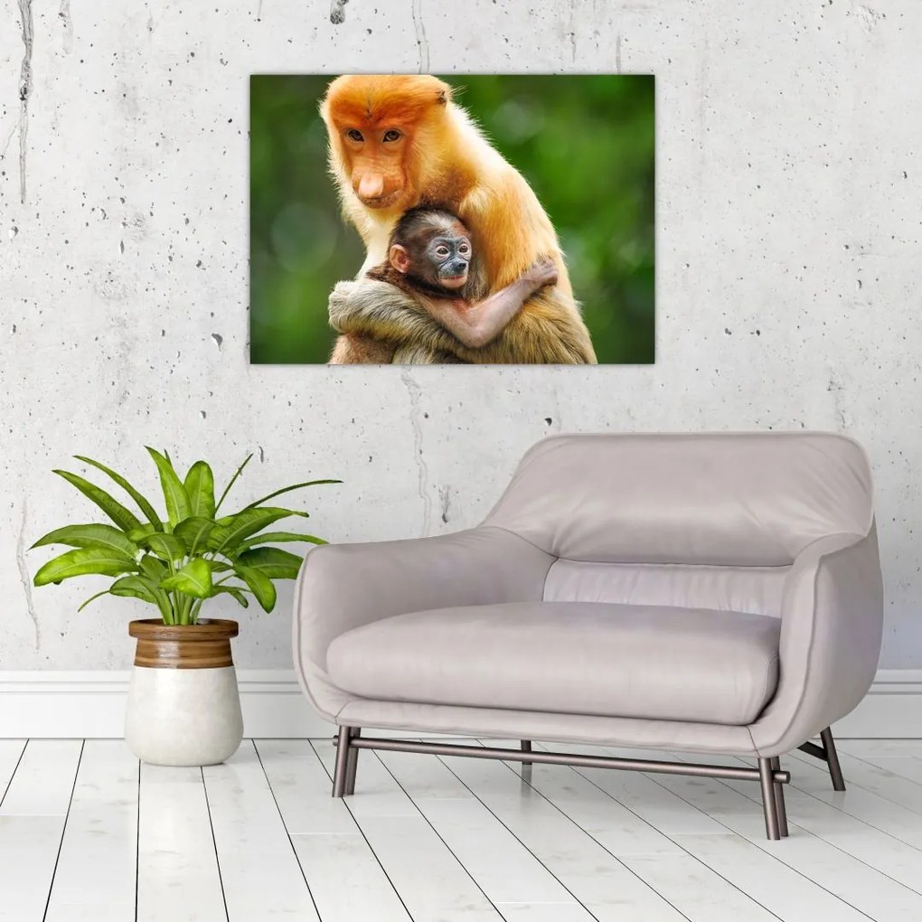 Sklenený obraz opíc (70x50 cm)