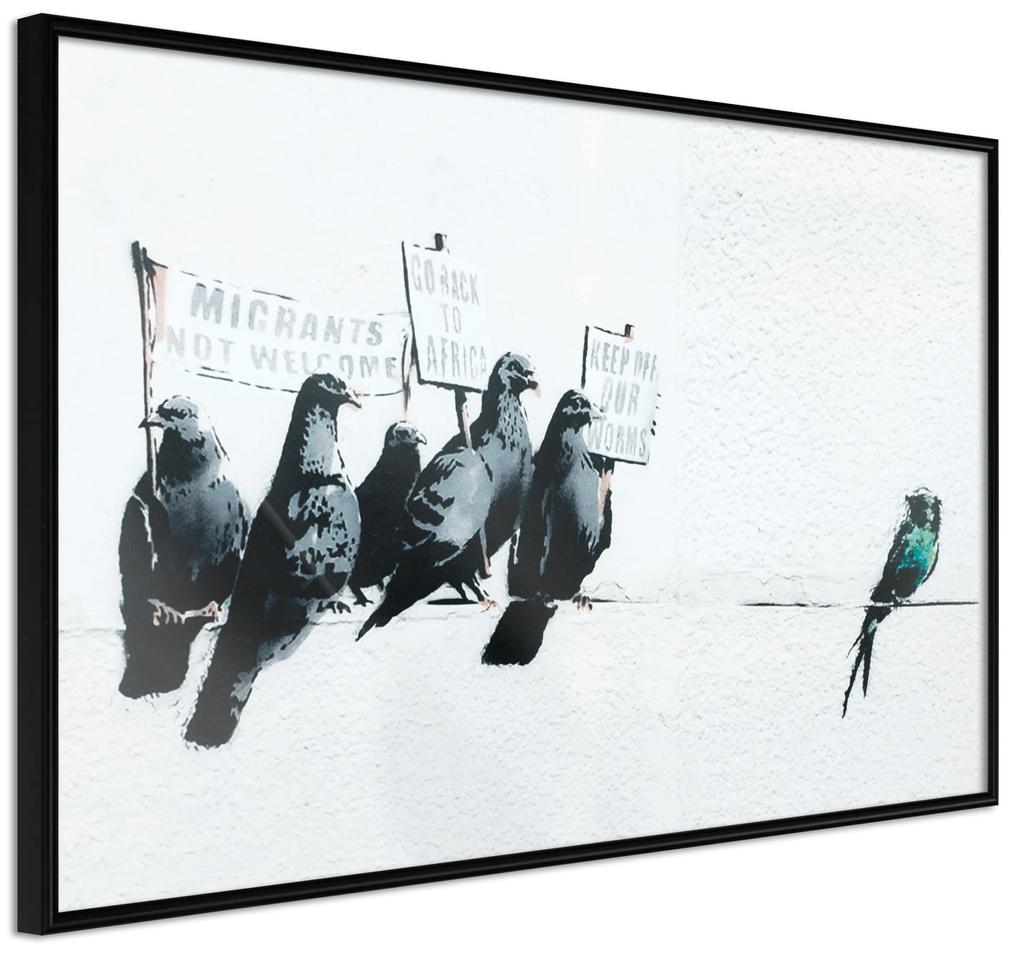 Artgeist Plagát - Xenophobic Pigeons [Poster] Veľkosť: 45x30, Verzia: Čierny rám