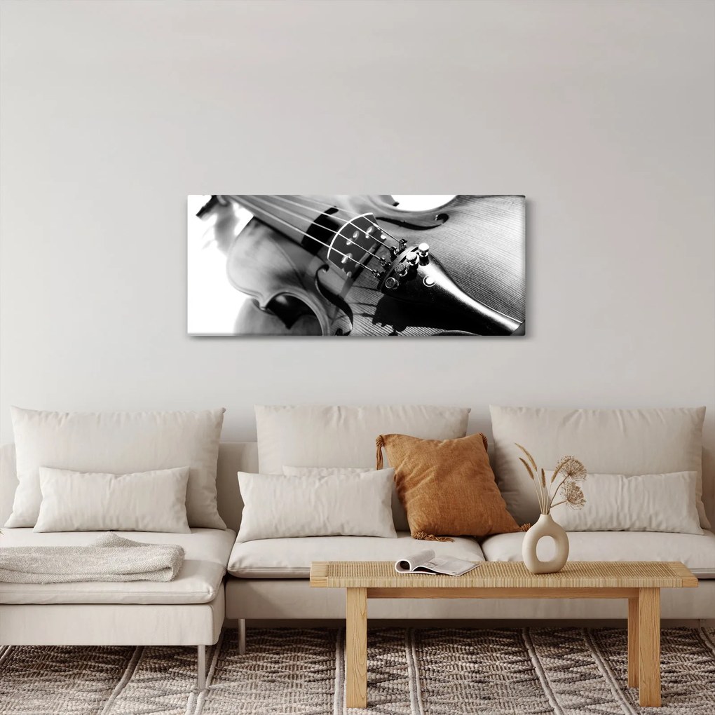 Obraz - Husle (120x50 cm)