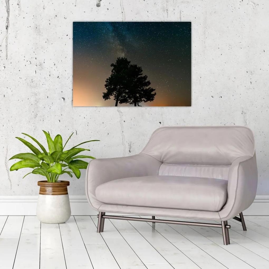 Sklenený obraz nočnej oblohy so stromami (70x50 cm)