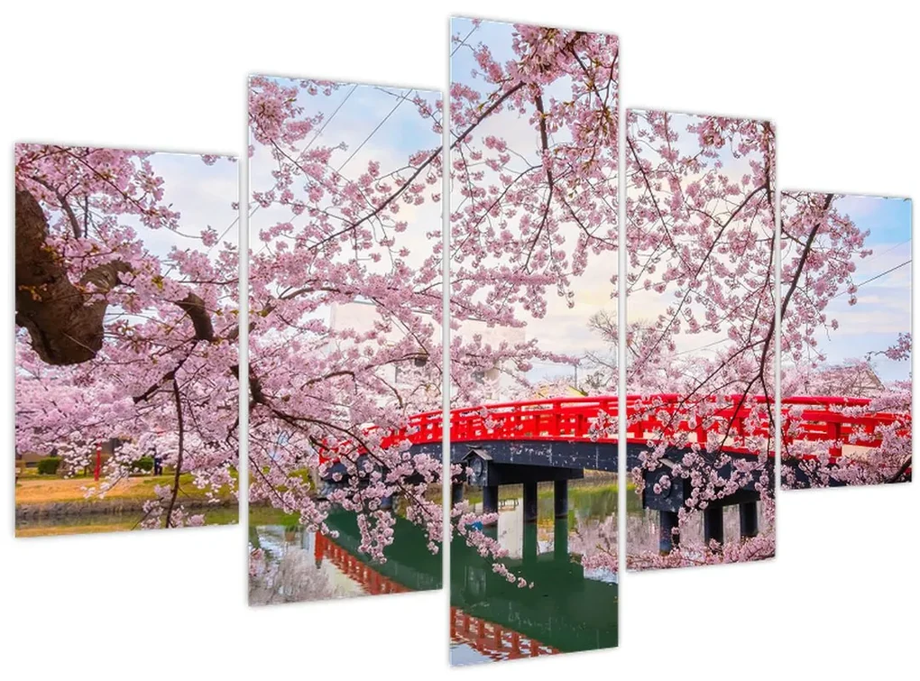 Obraz - Hirosaki, Japonsko (150x105 cm)