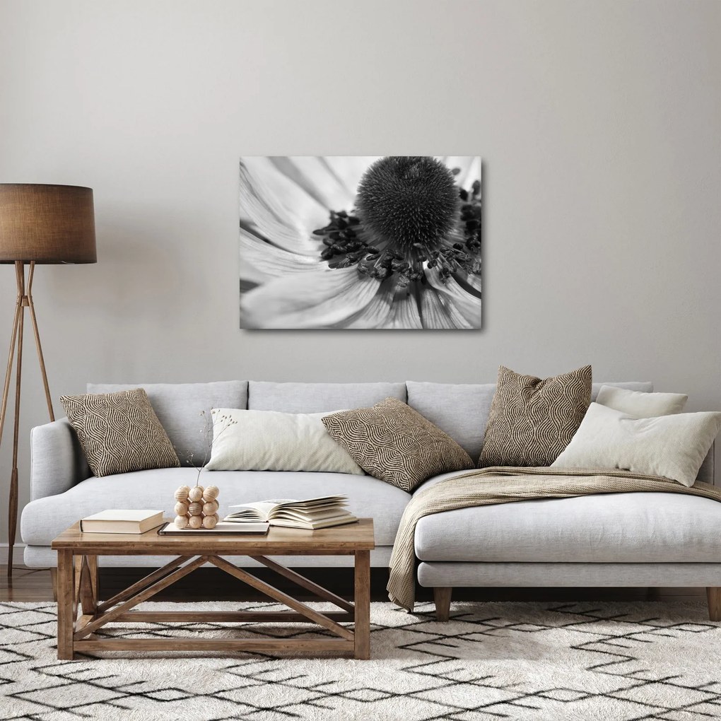 Obraz - Kvetina v čiernobielej (70x50 cm)