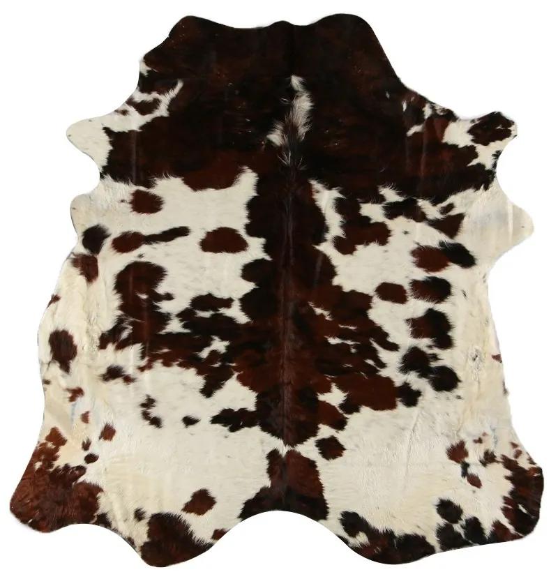3 farebný koberec hovädzej kože Bos Taurus biela, čierna, hnedá - 180*250*0,3cm