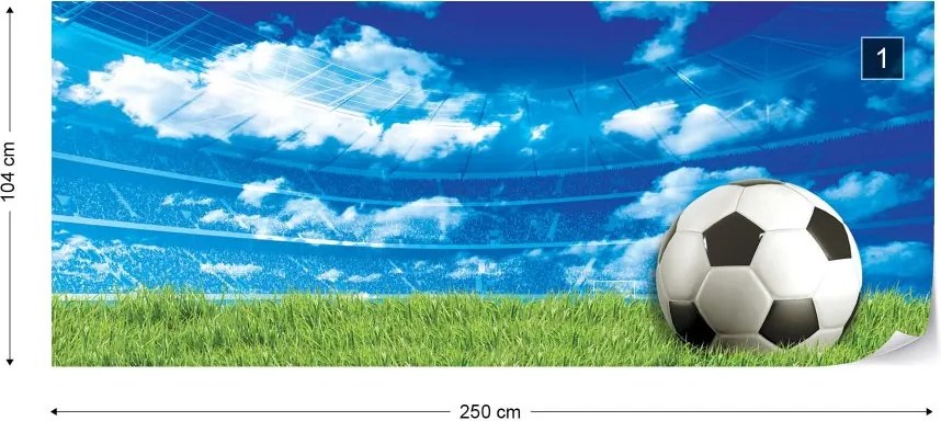 Fototapeta GLIX - Football Stadium Blue Sky + lepidlo ZADARMO Vliesová tapeta  - 250x104 cm