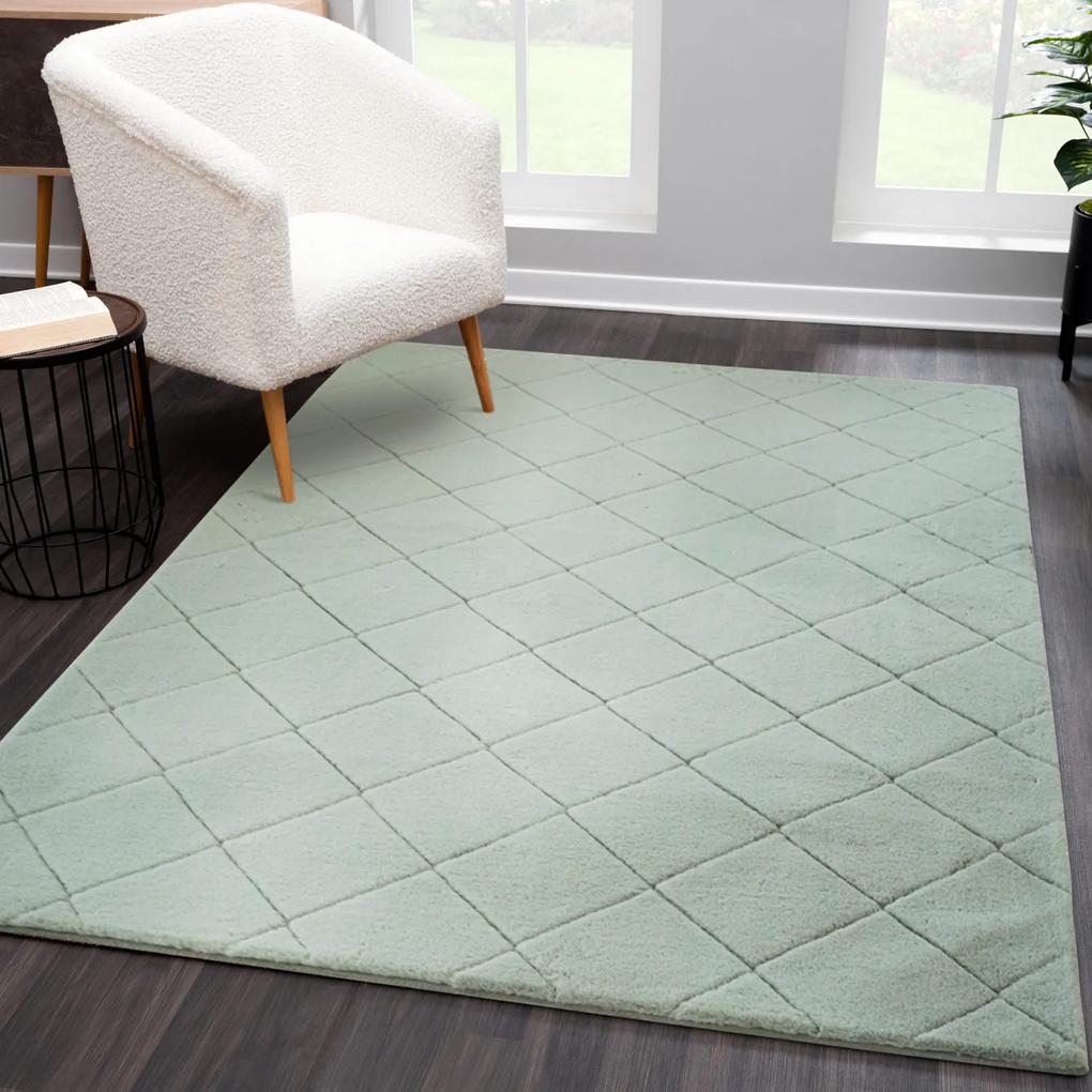 Dekorstudio Kožušinový koberec MOMENT- šalviový Rozmer koberca: 200x290cm