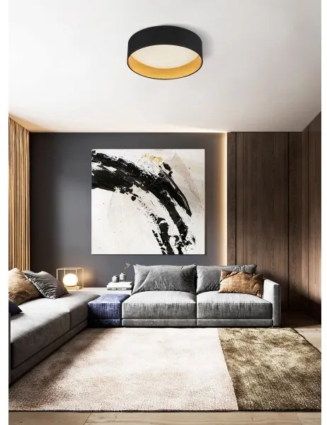 Top Light - LED Stmievateľné stropné svietidlo LED/24W/230V+ diaľkové ovládanie čierna