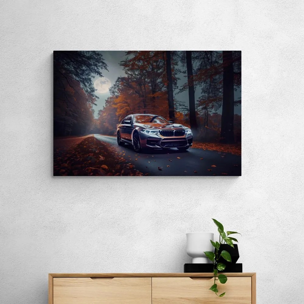 Obraz BMW v splne mesiaca