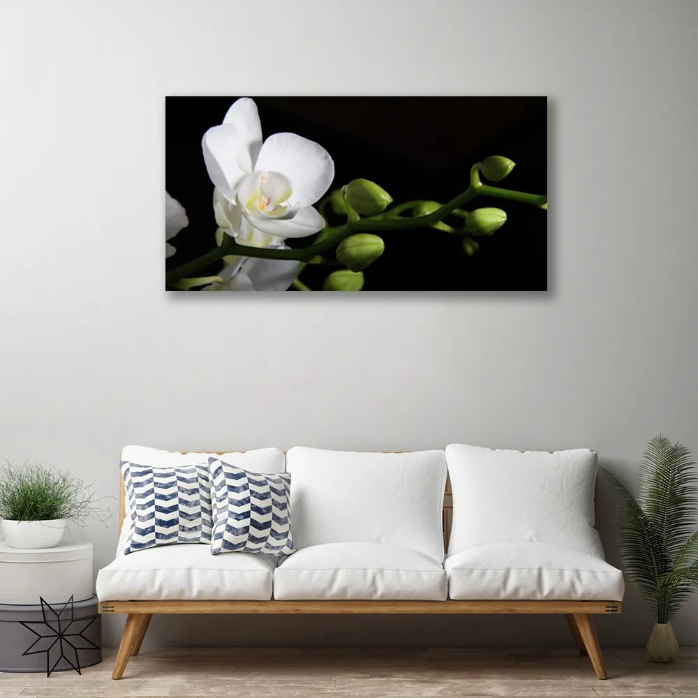 Obraz Canvas Kvet rastlina príroda 140x70 cm