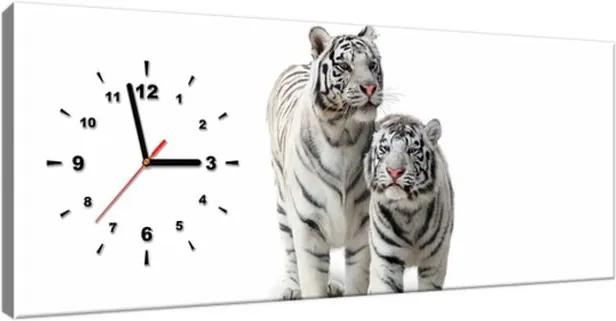 Tlačený obraz s hodinami Biele tigre 100x40cm ZP1270A_1I