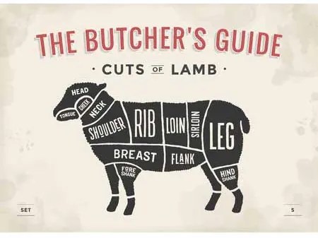 Ceduľa The Butchers Guide - Cuts of Lamb
