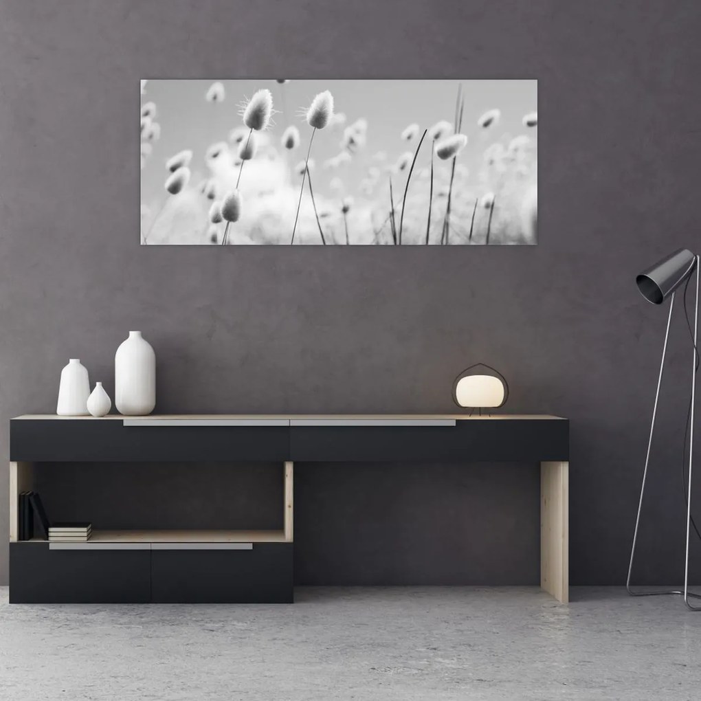 Obraz - Boho bunny tail grass (120x50 cm)