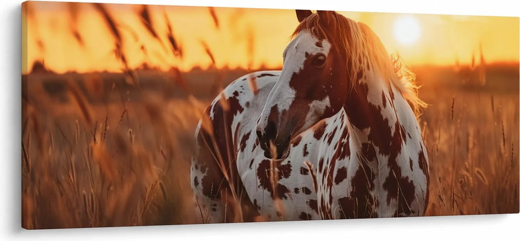 Obraz - Kôň pri západe slnka (120x50 cm)