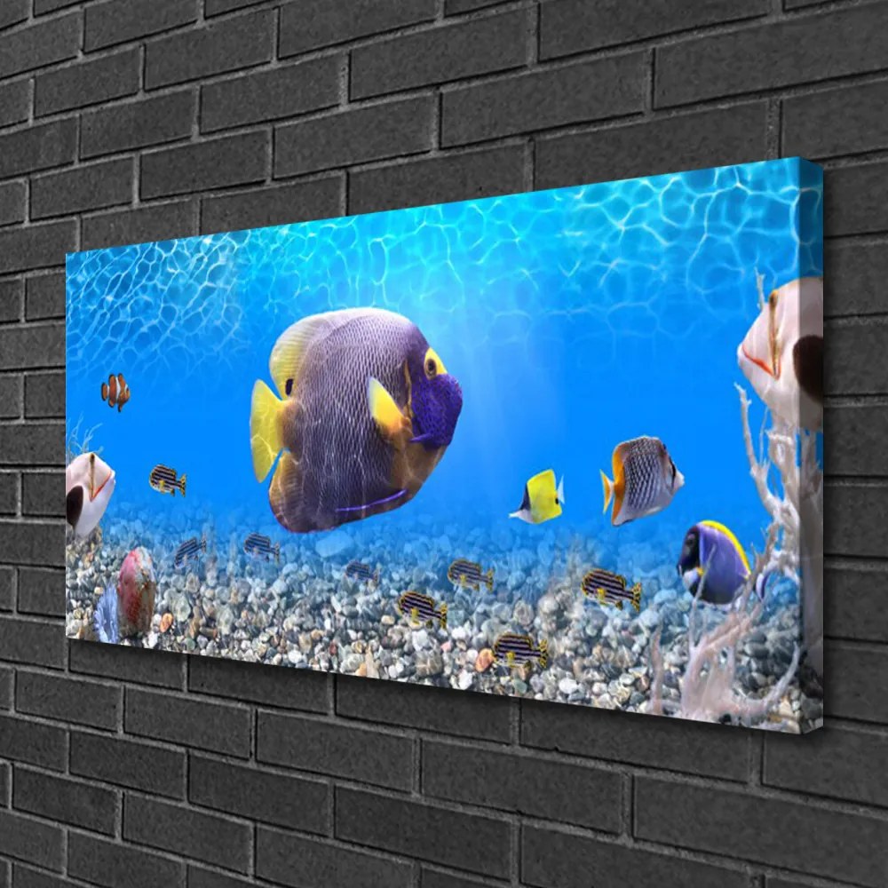 Obraz na plátne Ryba príroda 125x50 cm