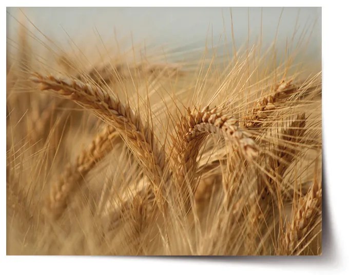Sablio Plagát Klasy 2 - 60x40 cm