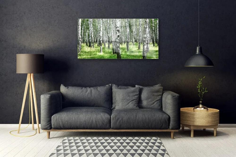 Obraz plexi Les tráva rastlina príroda 100x50 cm