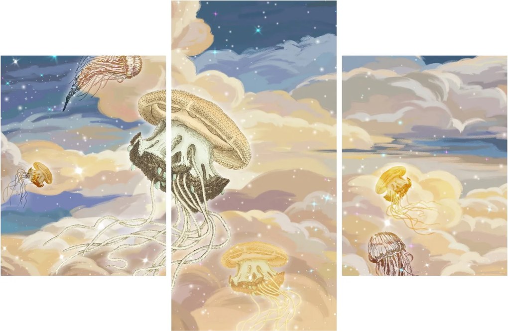 Obraz - Nebeské medúzy (90x60 cm)