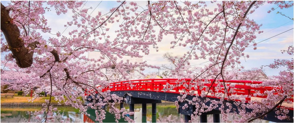 Obraz - Hirosaki, Japonsko (120x50 cm)
