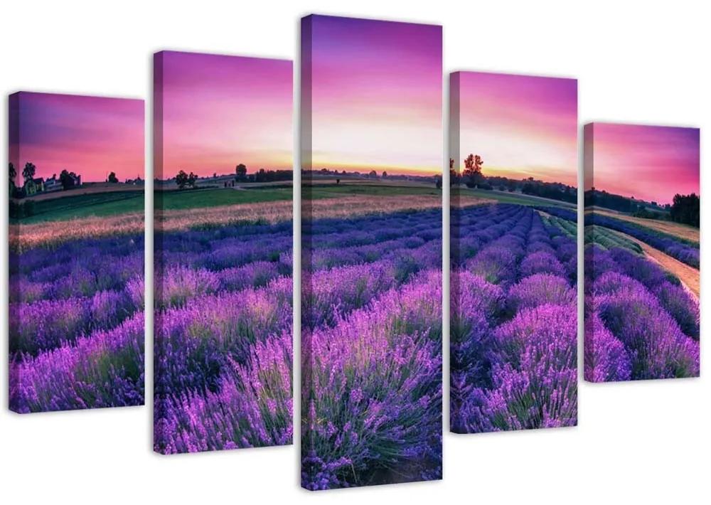 Obraz na plátně pětidílný Levandulově fialové pole - 200x100 cm