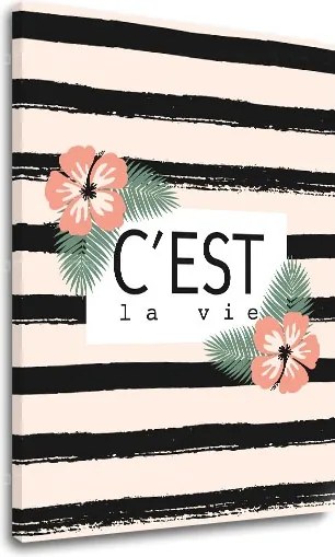 Obraz na stenu s textom C est la vie
