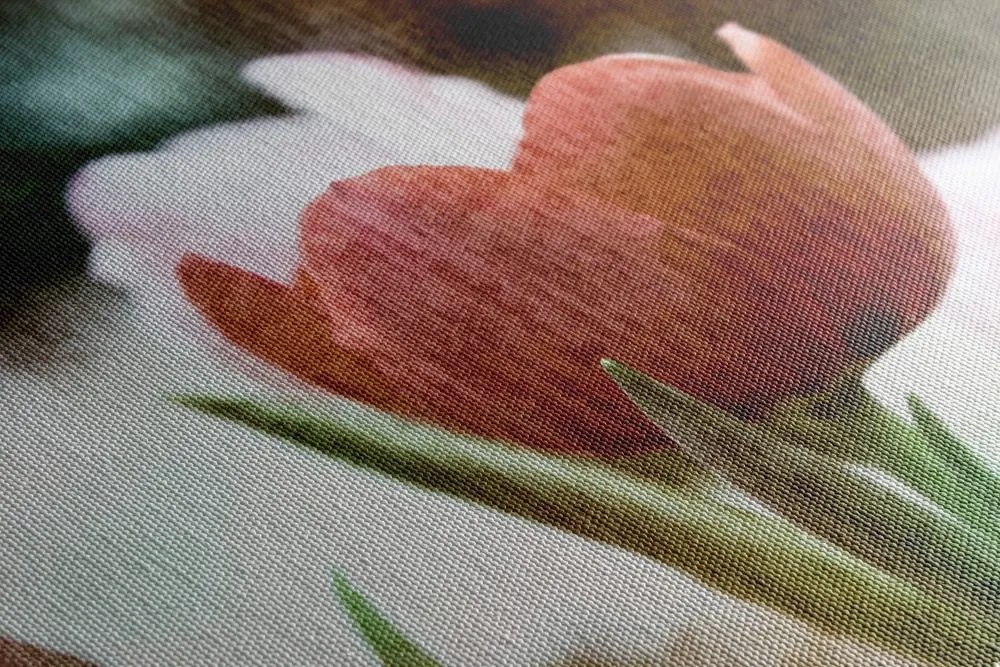 Obraz lúka tulipánov v retro štýle Varianta: 120x80
