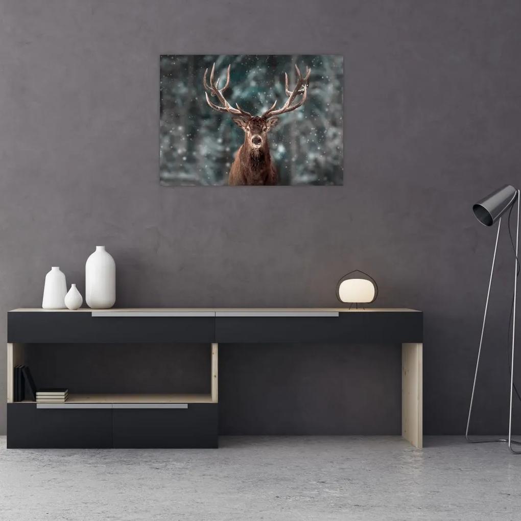 Sklenený obraz - Majestátnosť jeleňa (70x50 cm)