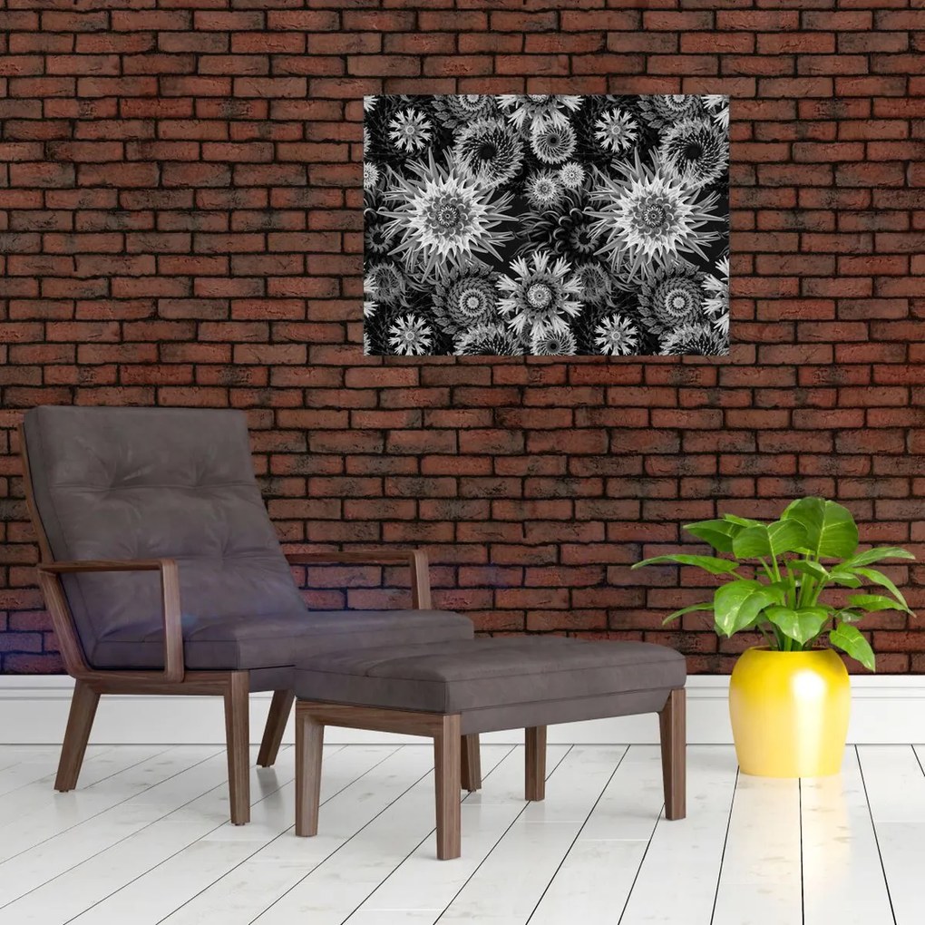 Sklenený obraz - Čiernobiele bodliaky (70x50 cm)