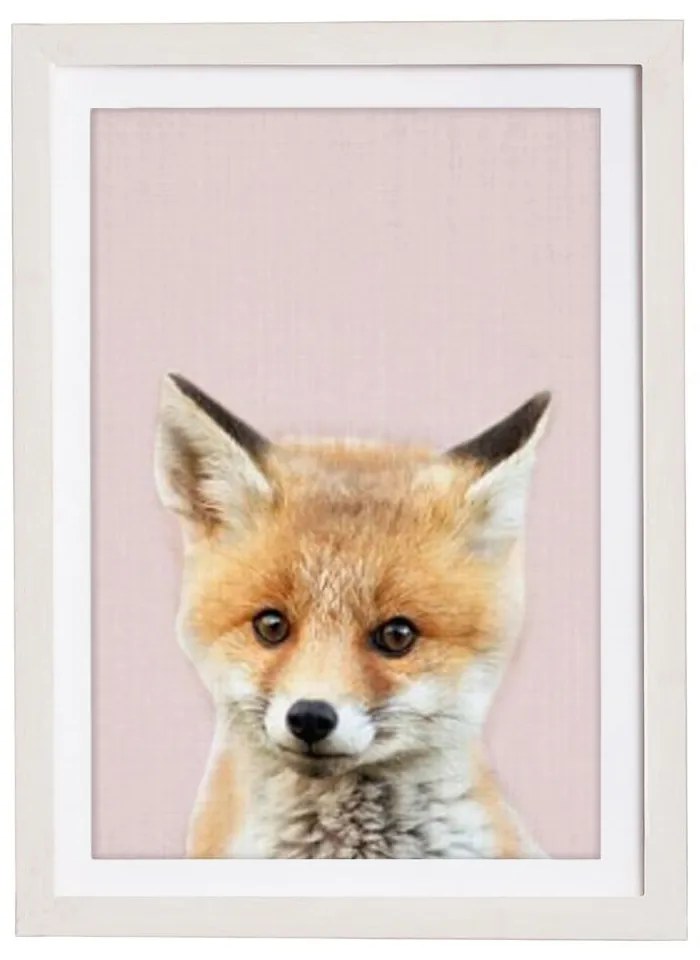 Nástenný obraz v ráme Querido Bestiario Baby Fox, 30 x 40 cm
