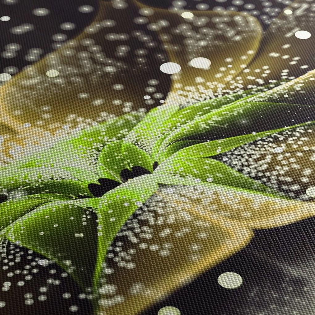 Obraz - Detail kvetu (90x60 cm)