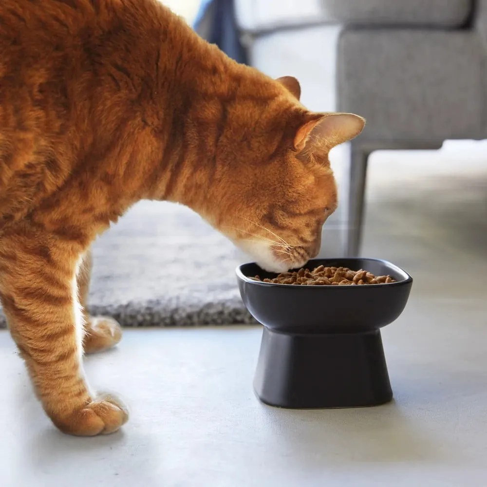 Keramická miska pre domáceho maznáčika Tower – YAMAZAKI