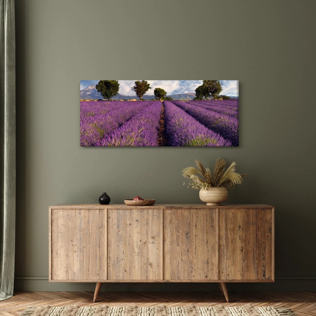 Obraz - Levanduľové pole a hory (120x50 cm)