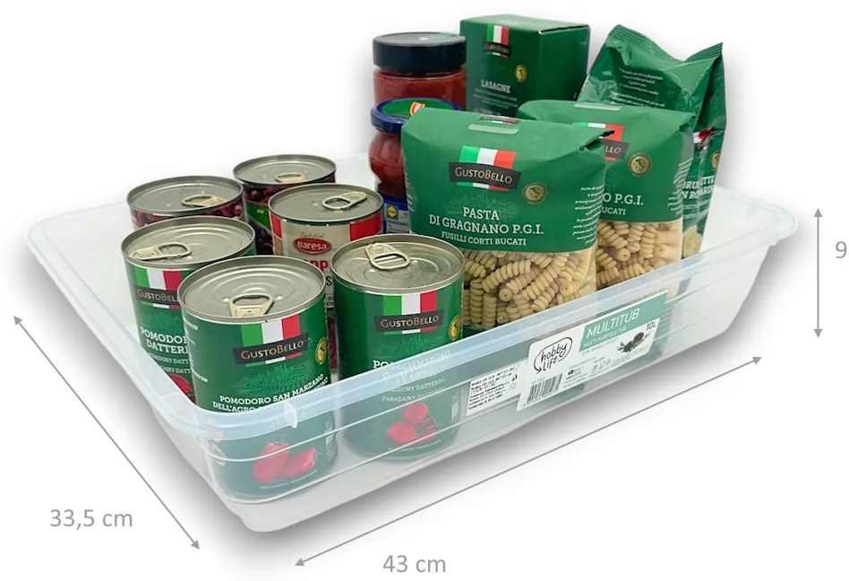 Orion Plochý transparentný box bez vrchnáka, miska, XL - 46x33,5x9cm, BOWL