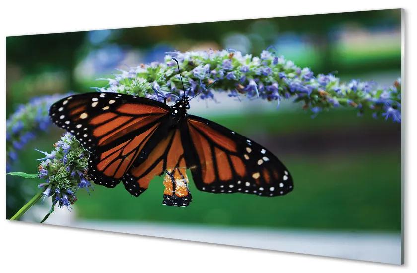 Nástenný panel  Motýľ na kvetine 120x60 cm