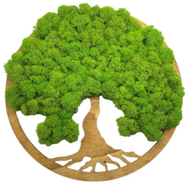 Strom na stenu z machu Lorelei 30 cm