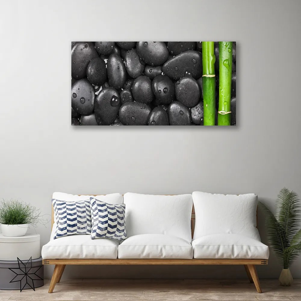 Obraz Canvas Bambus stonka kamene 100x50 cm