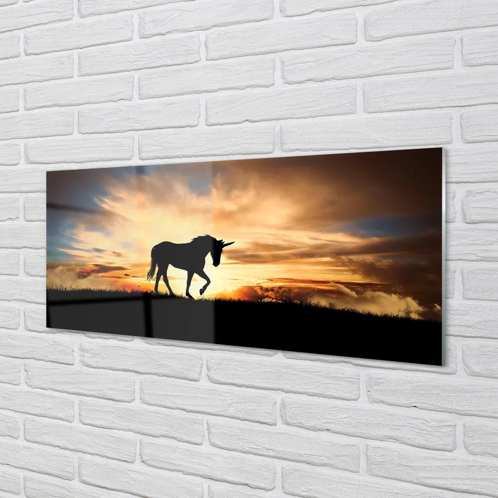 Obraz na akrylátovom skle Unicorn sunset 120x60 cm