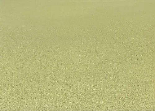 Koberce Breno Metrážny koberec CAROUSEL 41, šíře role 400 cm, zelená